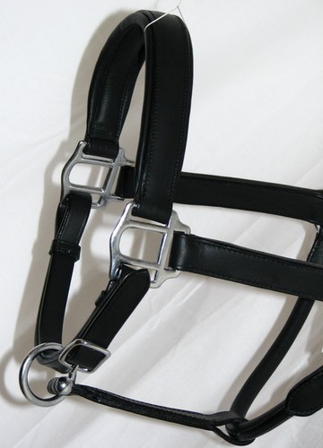 FSS Cuero POSH Clásico PLATEADO Suave Cómodo Acolchado Show SOPORTE COLLAR Clip - Imagen 6 de 7