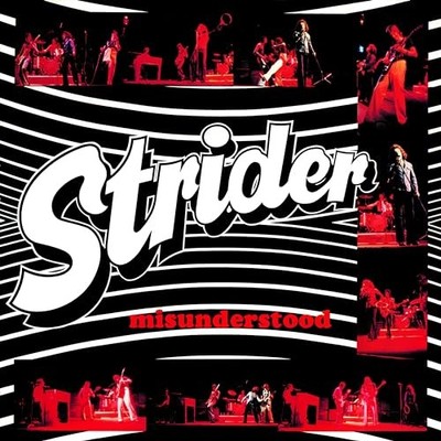 STRIDER - MISUNDERSTOOD - CD - F600z