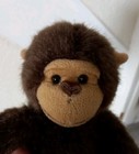 Bild 6 von 6