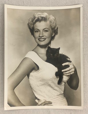Vtg Org 1952 ANITA EKBERG & BLACK KITTEN PHOTO Ms Sweden Blonde