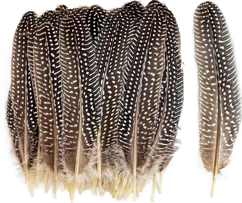 20pcs 6-9 inch Natural Guinea Wing Plumage Feather DIY Craft Jewelry Cloth Decor