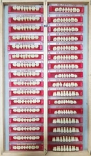 Lot X 32 Dental LAB Acrylic teeth dentures vivadent ivoclar SR orthotyp 5B  2