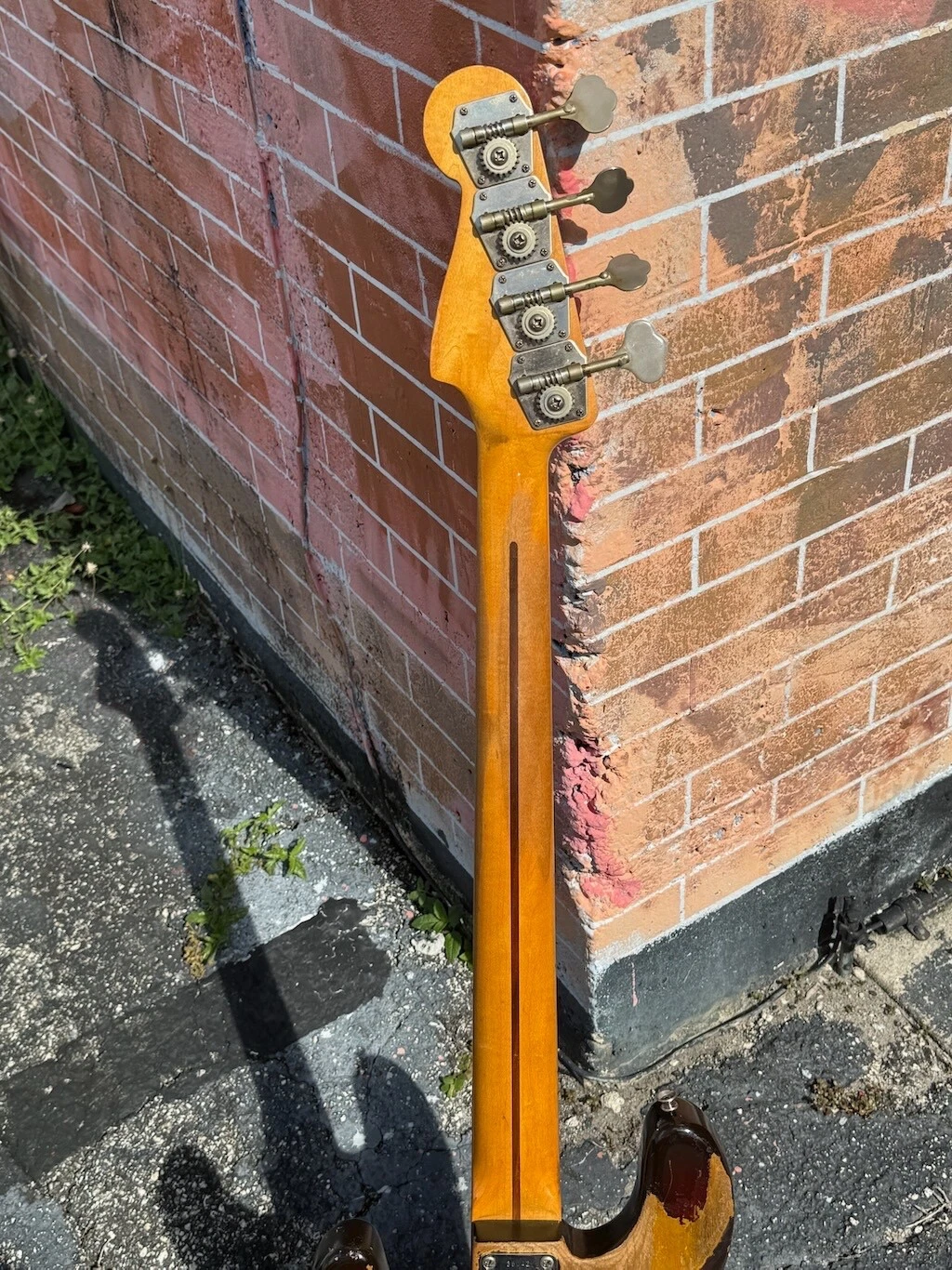 Picture 9 of 24