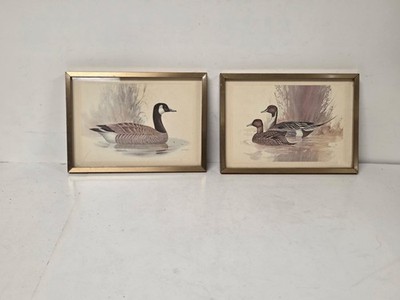 Red Farm Studio Pintail Duck & Canada Goose Picture Lot