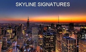 Skyline Signatures | eBay Stores