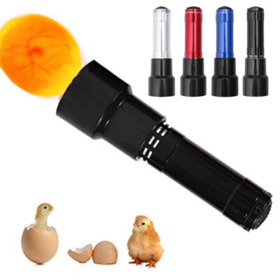 Neu LED Prüflampe Schierlampe Bruteier Eierdurchleuchter Inkubator Brutmaschine