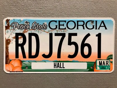 Georgia License Plate Peach State Random Letters Numbers Nice Ebay