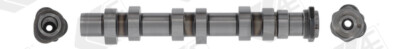 AE Nockenwelle für Smart Cabrio 450 0.7 0.6 Fortwo 452 Nissan Cedric X Y34 3.0