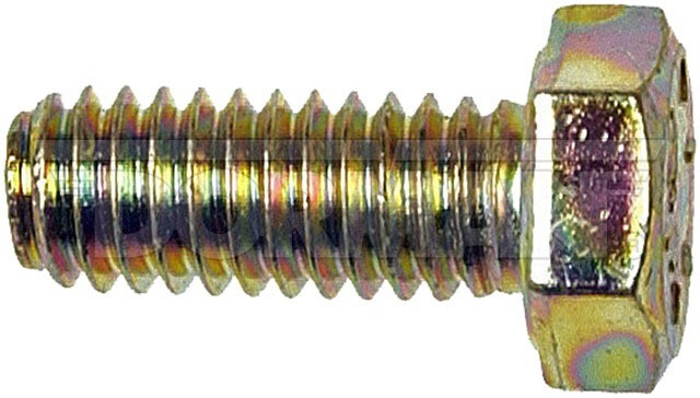 Picture 1