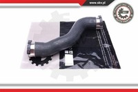 Esen SKV Ladeluftschlauch FüR Mercedes-Benz C-Klasse T-Model S204 E-Klasse S212
