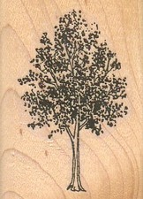 Leafy Tree 1 1/2 x 2" Rubber Stamp, Plant Stamp, Tree Stamp