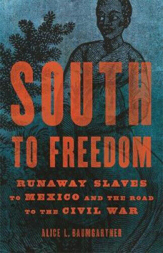 South to Freedom: Runaway Slaves to Mexico and the Road to the Civil War - Foto 1 di 1