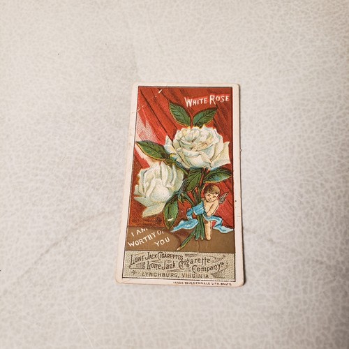 1888 Lone Jack Cigarettes Cupid White Rose Language of Flowers