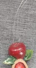 Foto 5 di 5