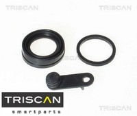 Triscan 8170189903 Dichtung FüR Bremssattelkolben
