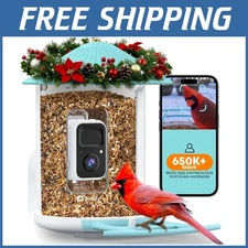 Outdoor Cardinal Feeder with Camera - Real-time Bird Viewing