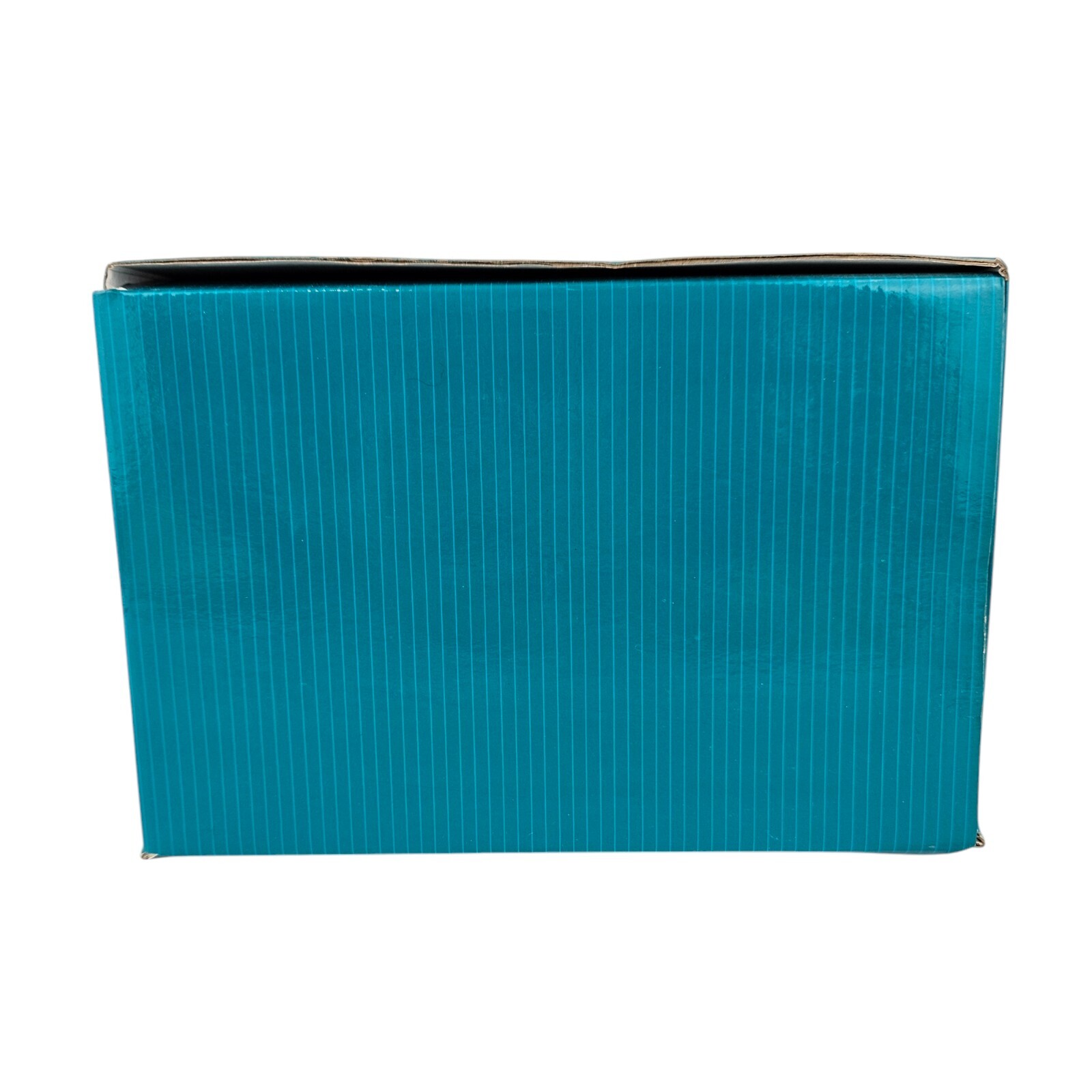 WDCC Walt Disney Classics Collection Minnie Mouse On Ice  Whee! w/ Box & COA