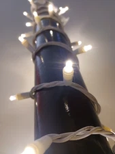 Case of 12, LED string lights 50 warm white M5 bulbs per string with white cord 