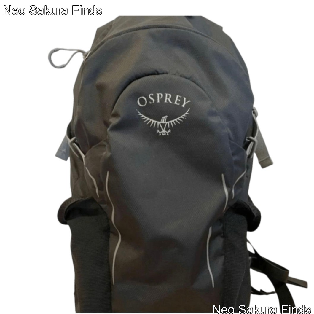 Osprey Hikelite 26L Hiking Backpack - Black - Used, Mesh Shoulder Straps