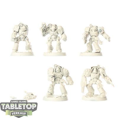 Grey Knights - 5 x Terminator Squad - grundiert