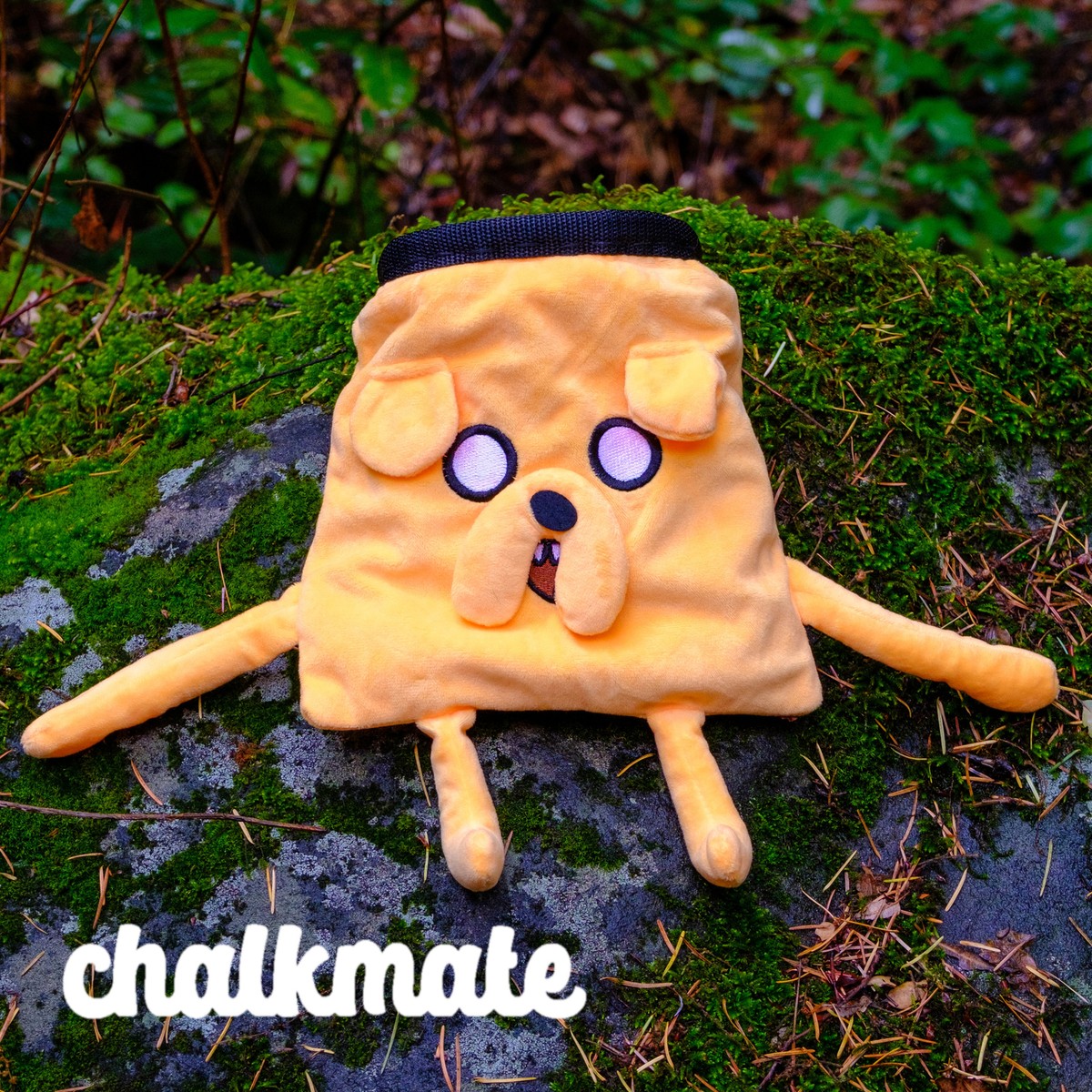 Jake the Dog Chalk Bag (Adventure Time) | eBay