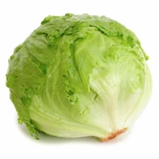 Iceberg Lettuce Seeds | Heirloom / Non-GMO | Free Shipping | Seed Store | 1104