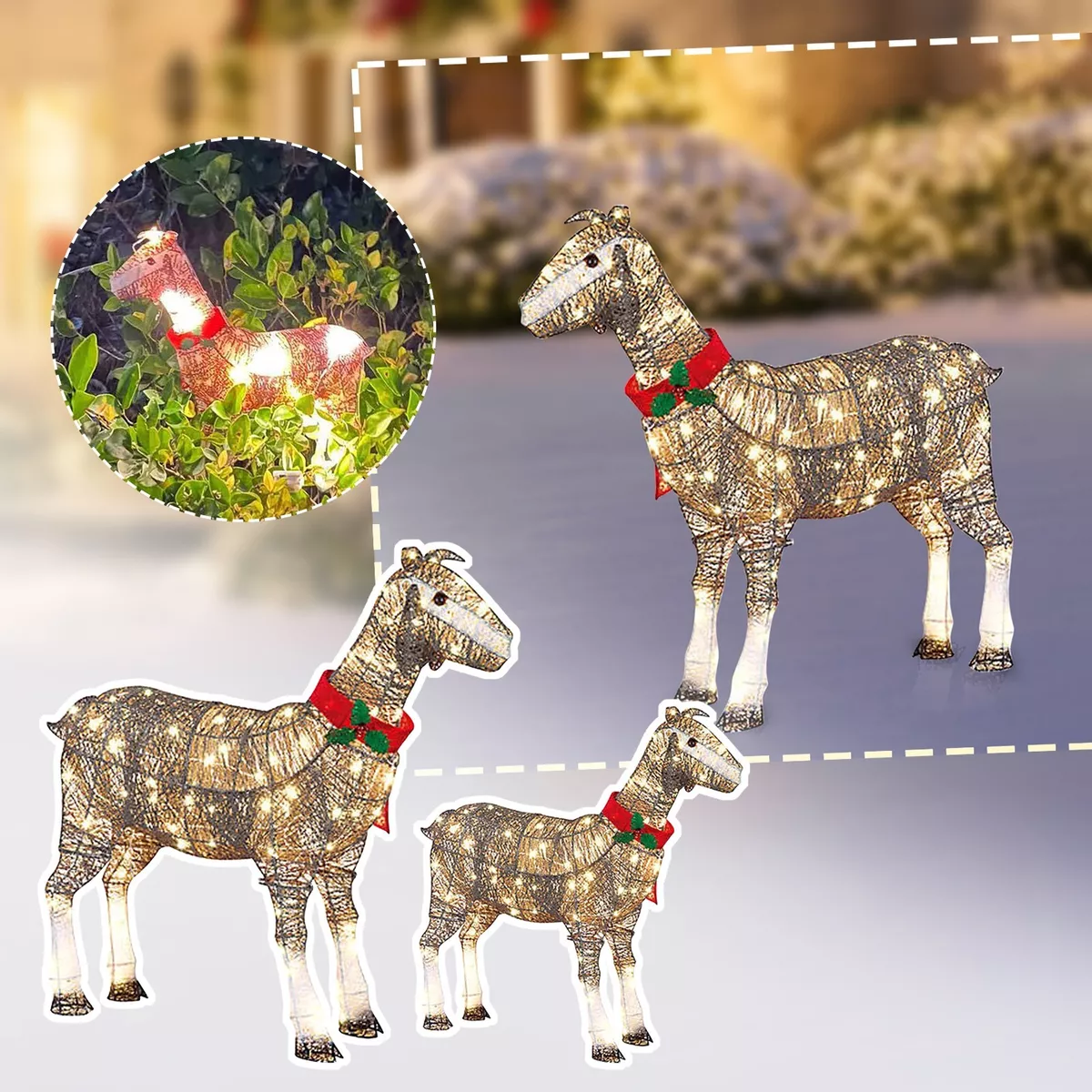 Goat lights deals