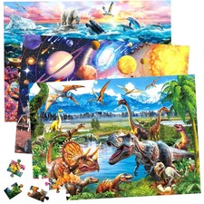 BenBen 100 Piece Puzzles for Kids Ages 4-6 6-8 8-10, 3 Themes Jigsaw Puzzle