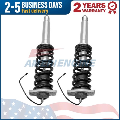 Maserati GranTurismo 2013-2018 Rear Left, right Dampers 2 pcs P/N 286946 Photo - $379