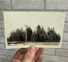 Park Scene In St. Ansgar Iowa Telephone Poles...