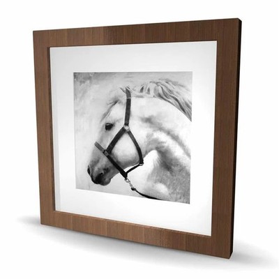 Begin Home Decor C1FM1616YN1VL2 16 x 16 in. Darius the Horse - Framed Matted ...