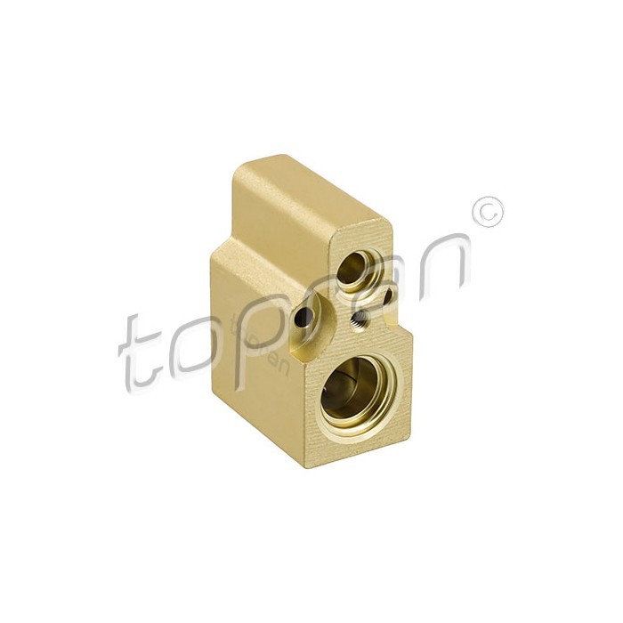 Valve d'Expansion Thermique 6N0820679A pour Climatisation Auto