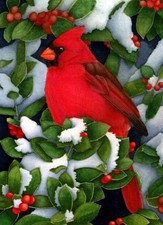 NEEDLEPOINT'S Canvas 14 or 18 count  cardinal, red bird