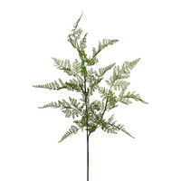 artplants Deko Zweig Schildfarn Grunte, GrüN, 80Cm