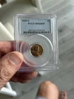1955 S LINCOLN WHEAT CENT PCGS MS-66 RD - RED WHEAT PENNY - CERTIFIED SLAB - 1C