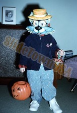 Vtg 35mm Slide Child Blue Cat Halloween Costume Jack-O-Lantern X-7817