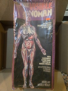 The Visible Woman | eBay