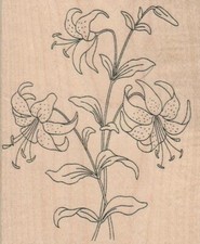Flowers 3 1/2 x 4" Rubber Stamp, Flower Stamp, Plant Stamp
