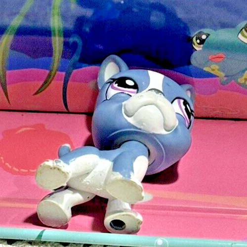 LITTLEST PET SHOP AUTHENTIC BLUE & WHITE BOSTON TERRIER DOG #1025 - Picture 3 of 3