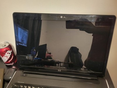HP Pavilion dv7-3165dx 17.3