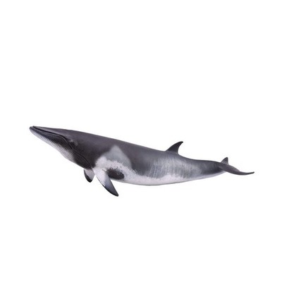 Figurine Narwhal Réaliste CollectA – Extra Large – Pour Enfants 3 Ans Et Plus – Replica Animalier Détaillé