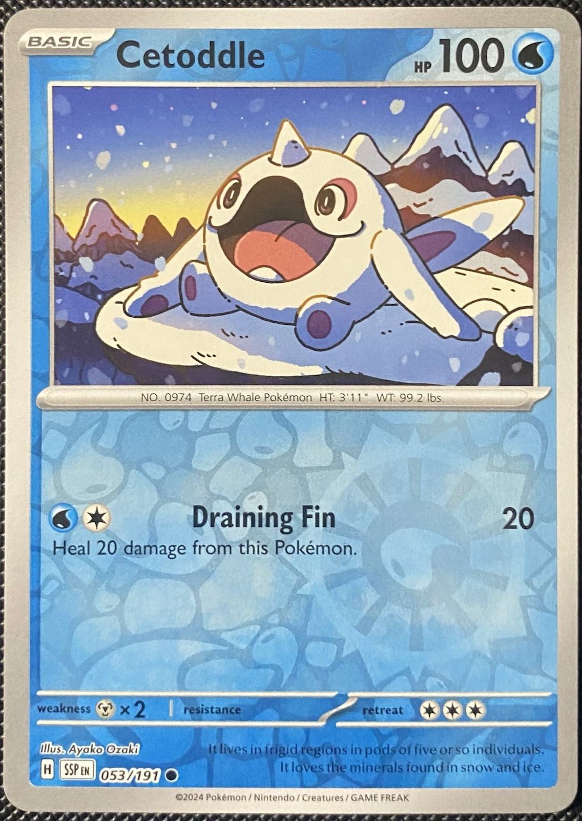 Cetoddle 053/191 Sv08: Surging Sparks Reverse Holo NM Pokémon