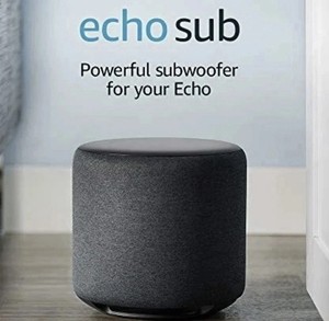 Echo Sub | eBay