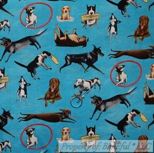 BonEful FABRIC FQ Cotton Quilt Aqua Blue Dog Breed B&W Rottweiler Doberman Pug L