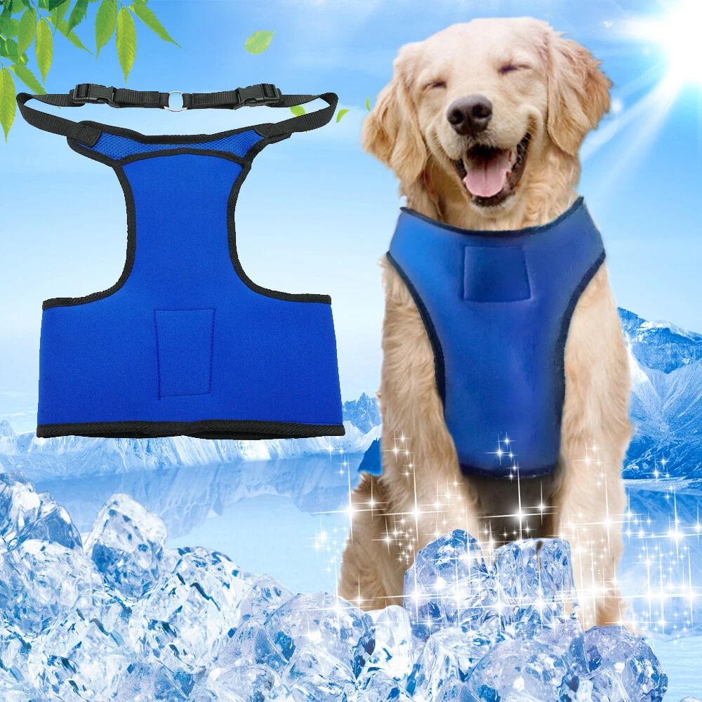 Are Ice Packs Good For Dogs To Keep Them Cool