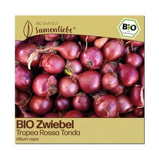 BIO Zwiebel Samen Tropea Rossa Tonda Gemüse-Samen Saatgut Zwiebelsamen