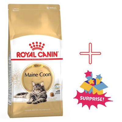 Royal Canin Maine Coon Adult 4kg Trockenfutter für große Katzenrassen