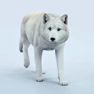 JXK 1/6 Common Gray Wolf Model Animal Figure Collectible Decor Toys JXK223A3