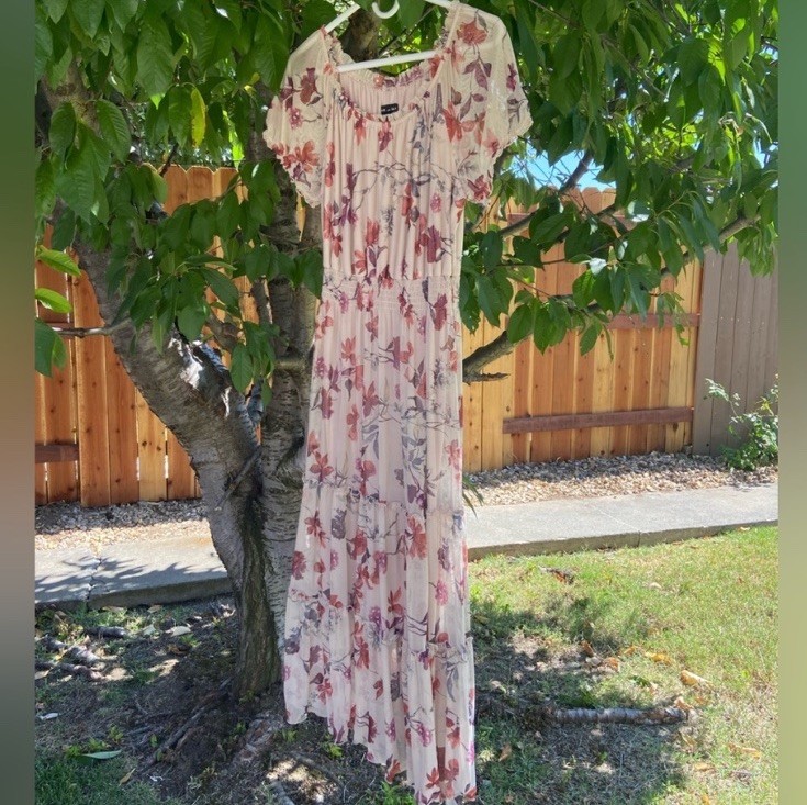 Kate and Lily Women's Floral Maxi Dress - Sheer Layer, Size 12
