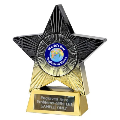 SMARTBADGE World’s Best Registered Nurse Award (St10) 140mm Star Trophy Engraved Free